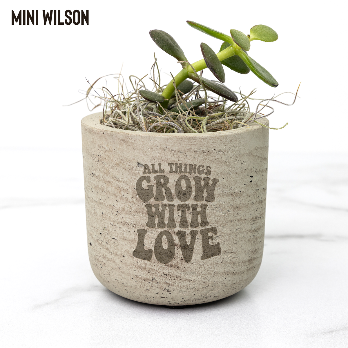 All Things Grow With Love Sustainable Mini Desk Plant: A Green Gift for Every Occasion